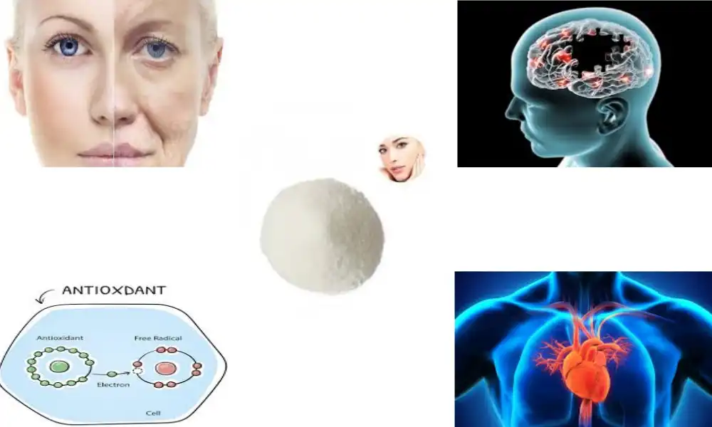 What the Latest Research Says About L-Ergothioneine Powder?